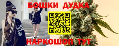 дживик Кандалакша