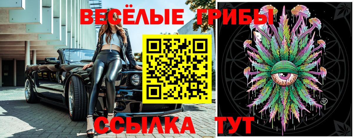 Михайловка  Псилоцибиновые грибы Psilocybine cubensis  Вход с VPN  Псилоцибиновые грибы мухоморы 