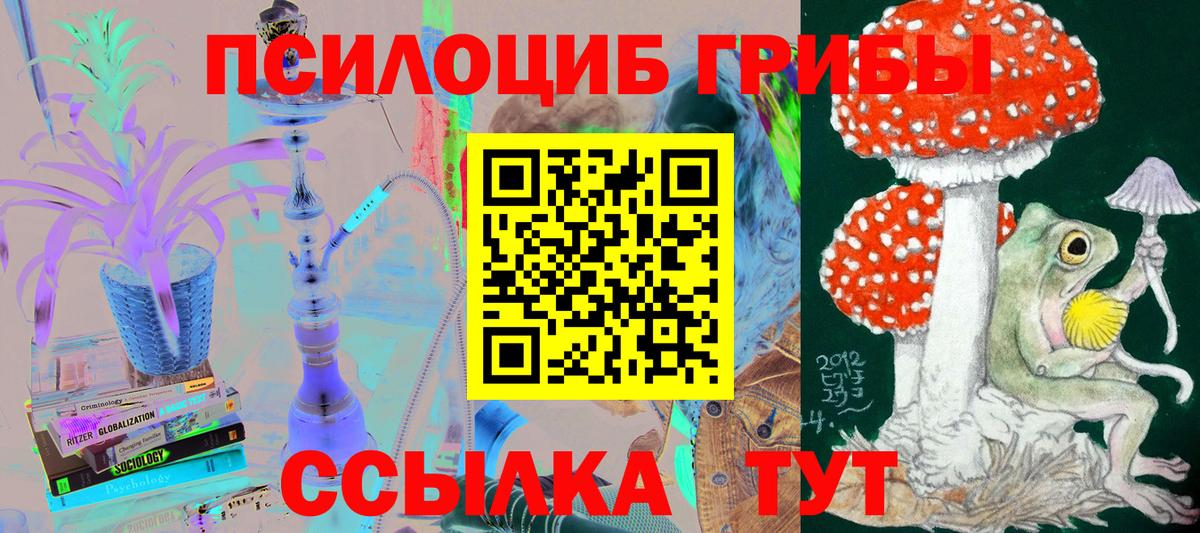 Конопля  Михайловка  Гашиш  Альфа ПВП СК кристаллы  Каннабис  Меф кристаллы  COCAIN 