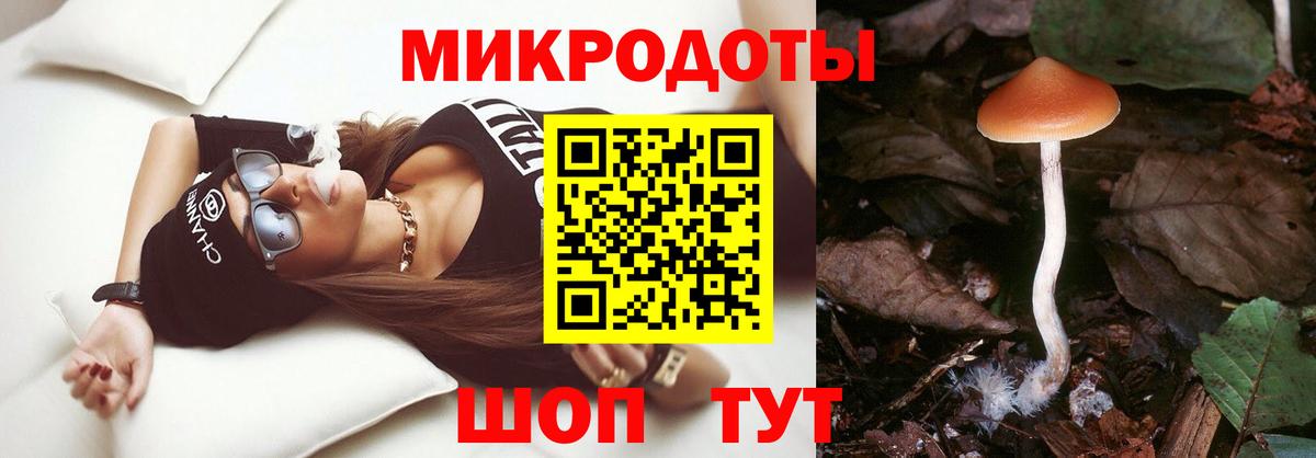 Псилоцибиновые грибы GOLDEN TEACHER Михайловка