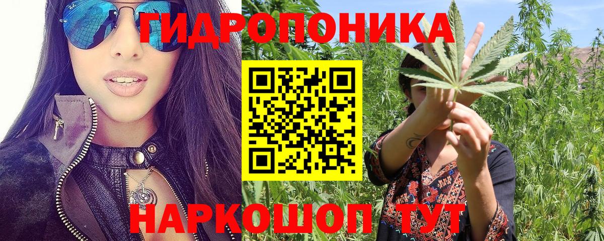 Бошки Шишки Ganja Михайловка